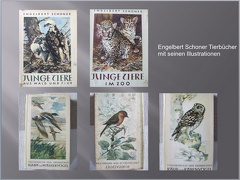 Engelbert-Schoner-2